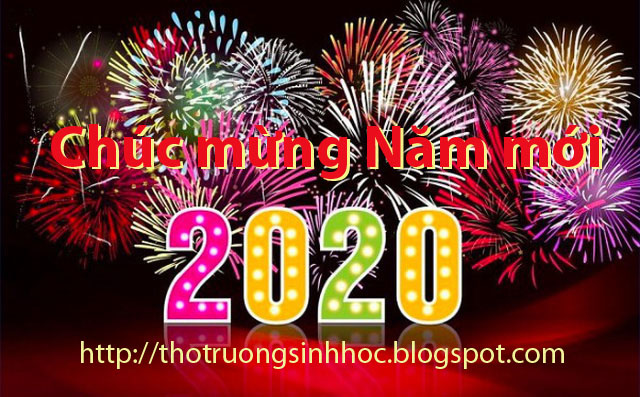Chúc mừng Năm mới 2020